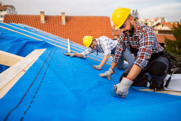 Best Roof Gutter Cleaning  in Englewood, NJ